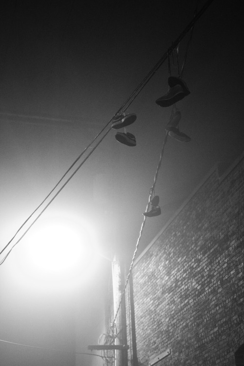 caldert:  Foggy Evening