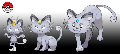 #052.5 - Meowth tend to live in urban areas, where they wander the streets at night in search of foo