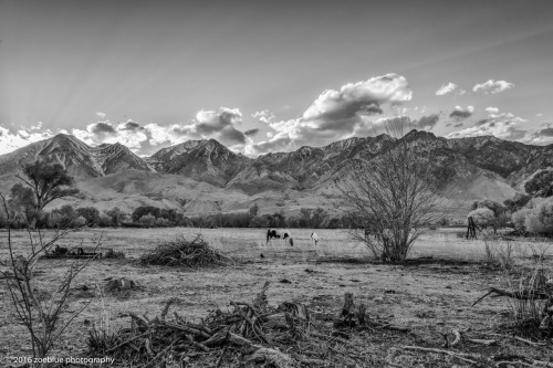 zoeblue:Lone Pine, CA