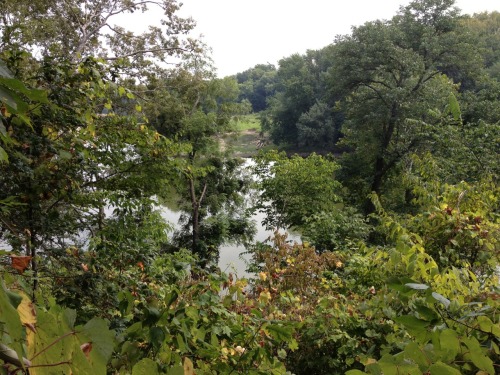 mint patches, flowers, and a picnic by the river. discovered so many wonderful and friendly spots today.