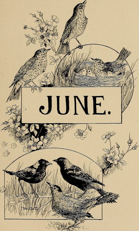 heaveninawildflower: June page taken from ‘Through the Year with Birds and Poets.’ Poetr