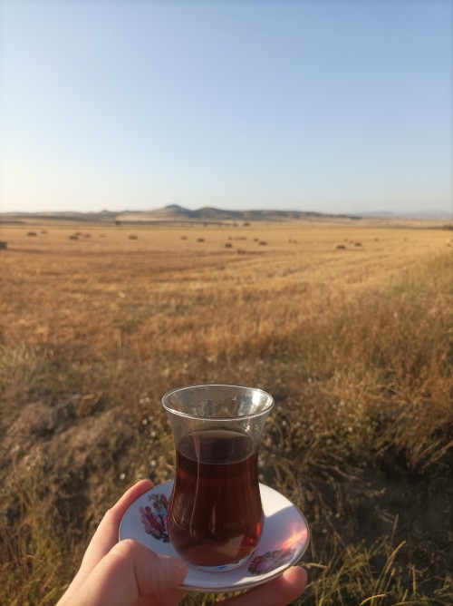 Kaybolsam Yine Ben Karm Kendimi Aramaya.