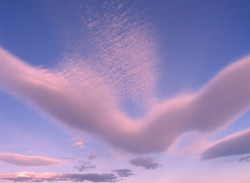 ogyxen:  Pink Clouds by nmfourwheeler on Flickr. 