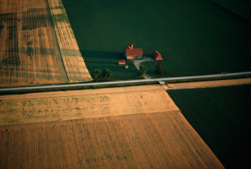 An aerial photograph of farmland in Michigan, June 1979.Photograph by James L. Amos, National Geogra