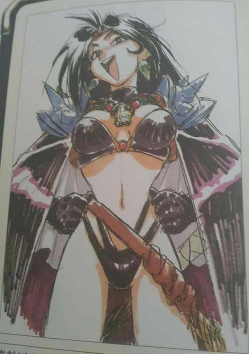 faline-cat444: Some of the first pages in Slayers DX are color versions of the character profile pages in the series encyclopedia