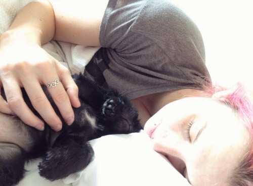 lost-lil-kitty:  She’s so scruffy you can’t even work out where her face is! ❤️🐶 