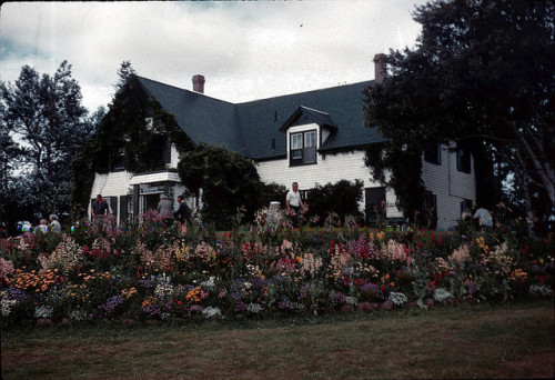 thesneakylittleminx:  Green Gables house by LandVike on Flickr.
