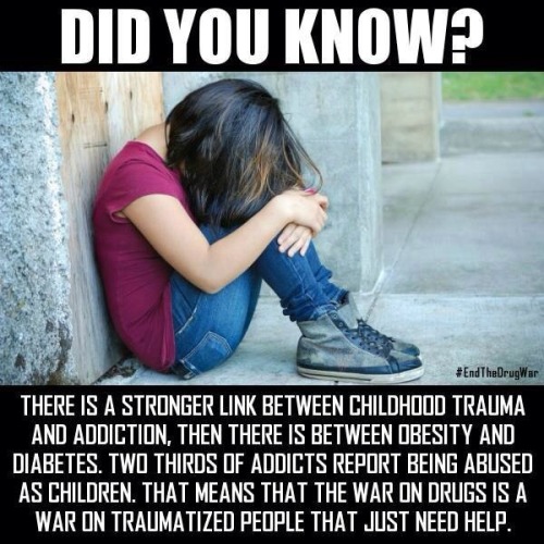 seranine:america-wakiewakie:  “There is no war on drugs because you cannot have a war against inanimate objects. There is only war on drug addicts. Which means we are warring on the most abused and vulnerable segments of the population.”  – Dr Gabor