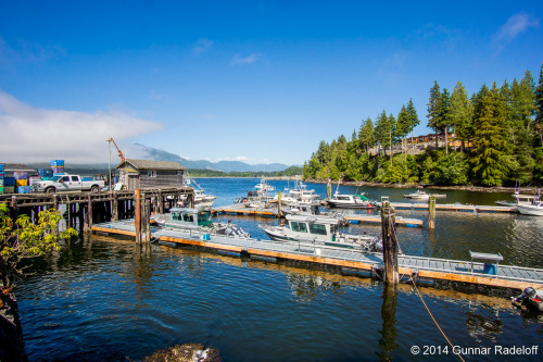 8.7.2014 - day 6 on the West Coast Trail - Port Renfrew, this is as much civilization as I can take 