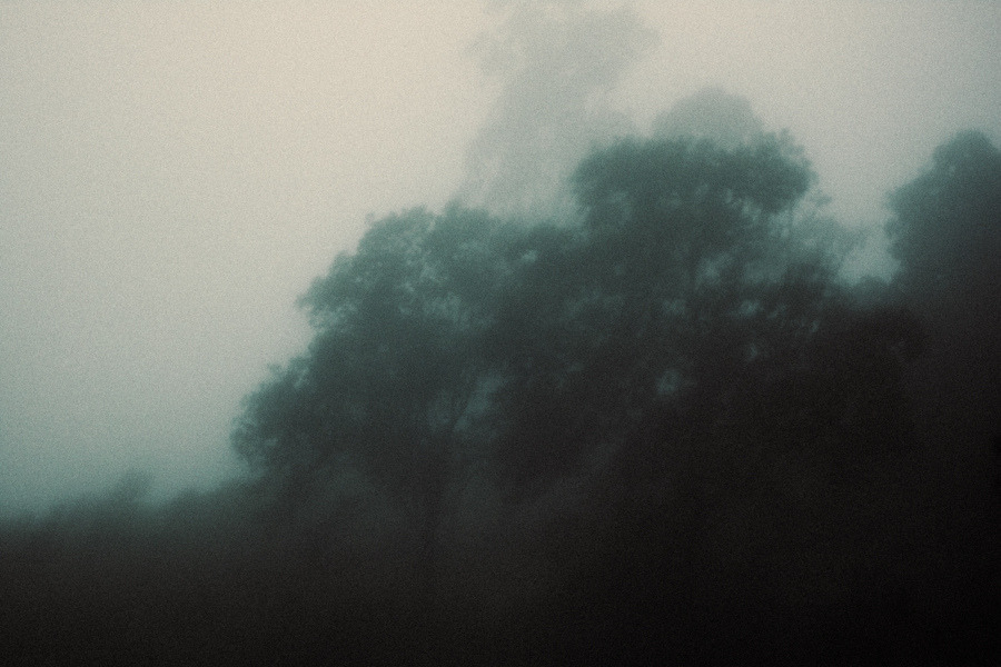 mydarkenedeyes:Rafael M. Milani