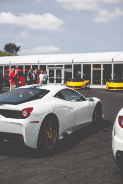 thephotoglife:  Speciale & LaF x2