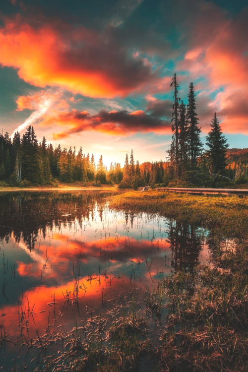 lsleofskye:  "Hidden Reflections" 🔥 | calibreus  Location: Strathcona Provincial Park, British Columbia, Canada