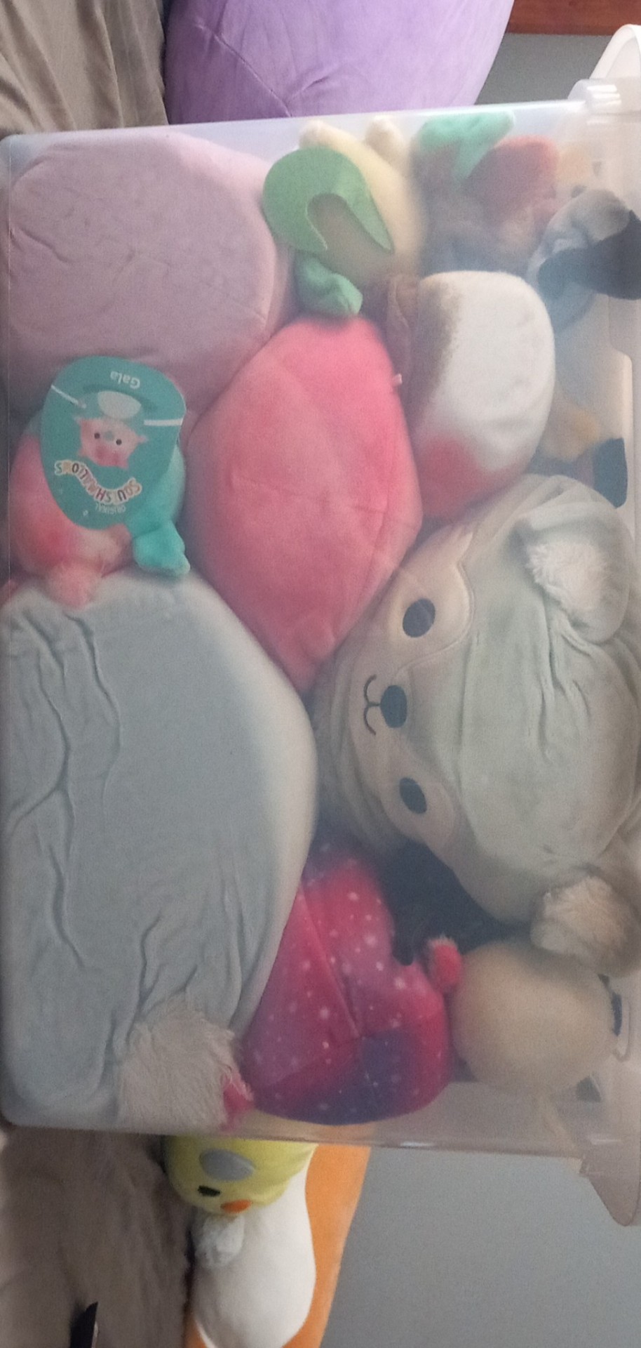 They Are Contained, But For How Long