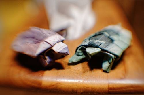 Turtle money origami. porn pictures