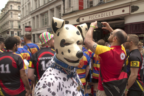 Pup at Birmingham Pride