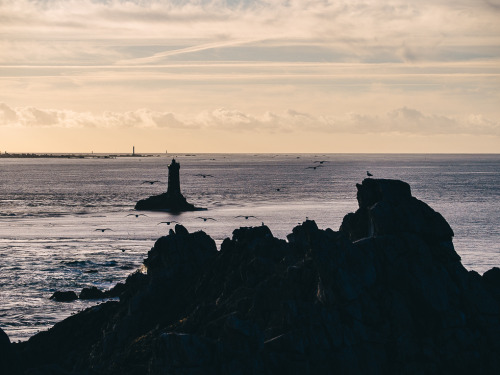 Spread Your Wings And Fly. Exploring Pointe du Raz.By Thorsten Nunnemann.Portfolio | Facebook | Twit