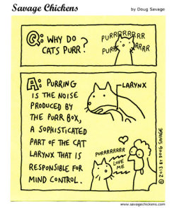  Why Do Cats Purr? © 2013 Doug Savage &