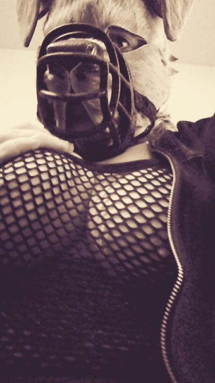 puplaika:  naturalsubmissiveboy:  p0cket-pup: adult photos