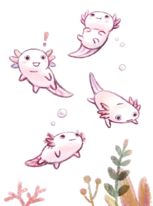 axolotl on Tumblr