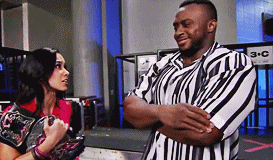 walkingonvanityruins:  We miss you, AJ Lee.