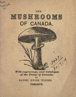 wapiti3:  The mushrooms of Canada, with engravings, and catalogue of the fungi of Canada. ; By Winder, Daniel Knode. on Flickr. Publication info Toronto[n.d.] Contributing Library: Gerstein - University of Toronto  BioDiv. Library 