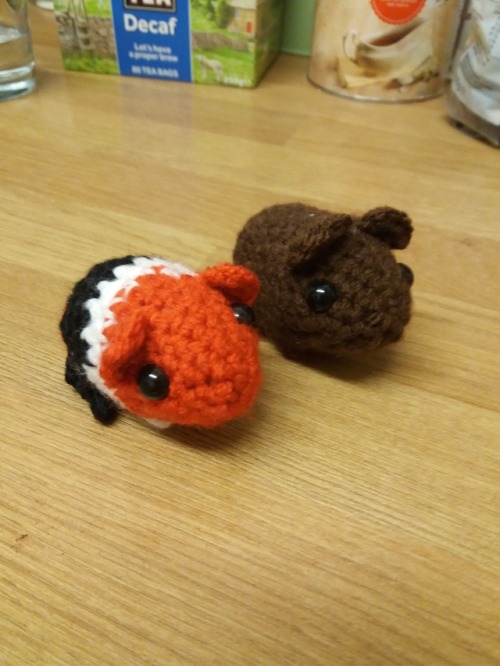 Found my new quick project - guinea pigs! Turns out I can knock these small boys out in about an hou