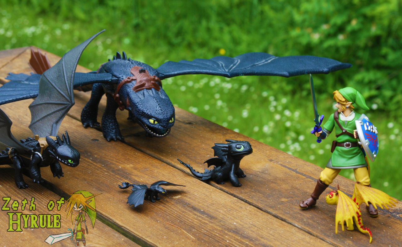 zethofhyrule:  How To Train Your Toothless! because Night Furies are cooler than