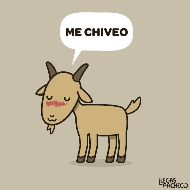 La Vida Es Un Riesgo