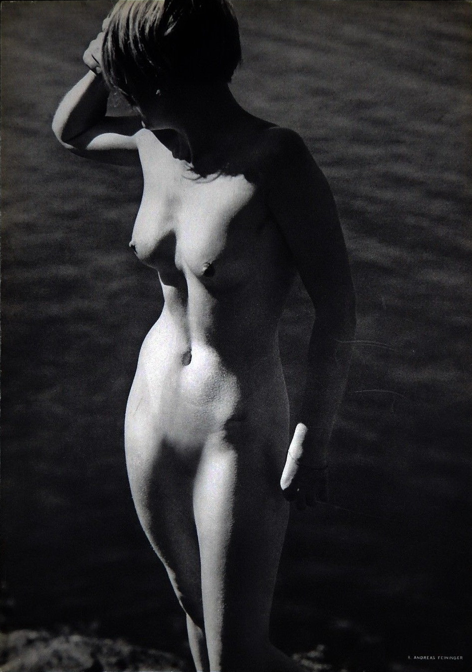 grandma-did:COLLECTION:  Andreas Feininger