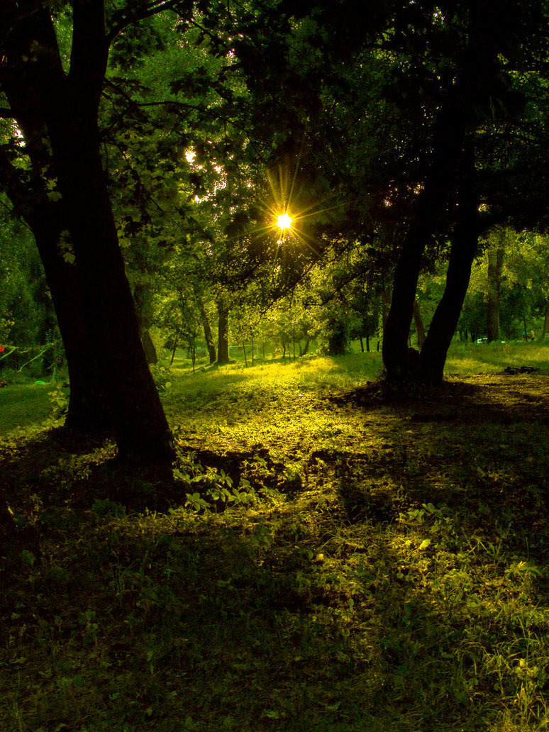 gravitationalbeauty:  Green tones by Taffiti on deviantART