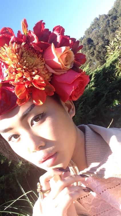 babeobaggins:  nickjonasstillhasdiabetes:This happened (worked with a florist) today 🌷🌼🌸🌹🌻🌾  yowza