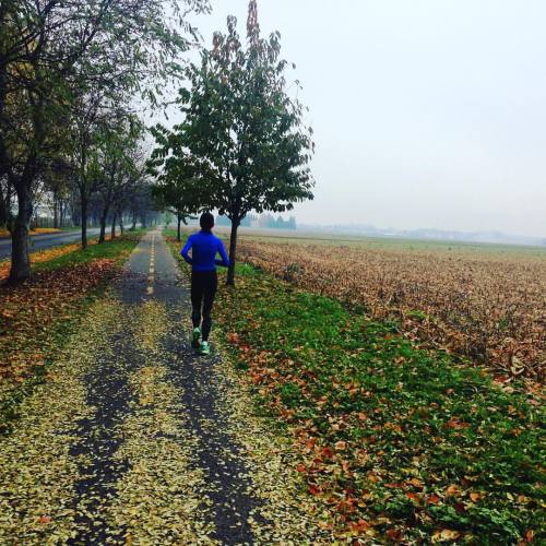 Boldogság! Végre sík terepen futottam ❗️#lébény #hungary #roadrunning #justkeeprunning #futás #train