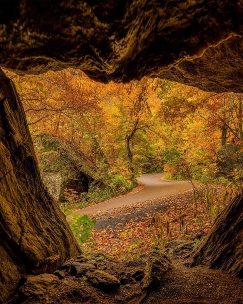 bookofoctober:Forest cave in Vermont. Photo by Bruce Getty