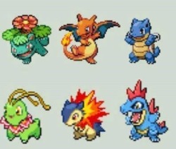 pizzaback:  ragingpixie:  Fully evolved starters staying teeny and cute!  This is what team rocket was trying to achieve in g/s/c 