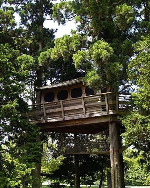 artistreehouse:  Who wants to spend a sleepy Saturday here?? #treehouse #wonder #sleepysaturday
