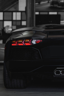 johnny-escobar:  DMC Aventador