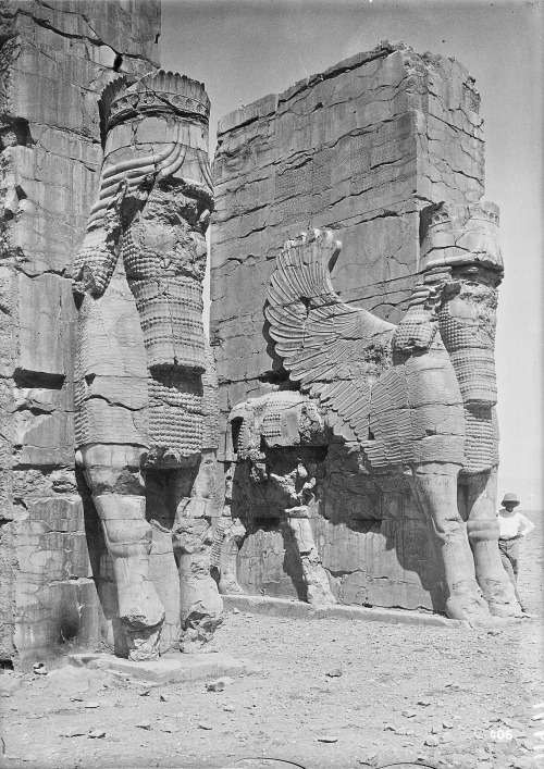 “Excavation of Persepolis (Iran): Gate of All Lands, Colossal Sculptures Depicting Man-Bulls: View b