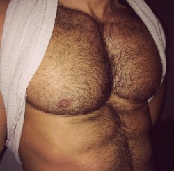 YummyHairyDudes