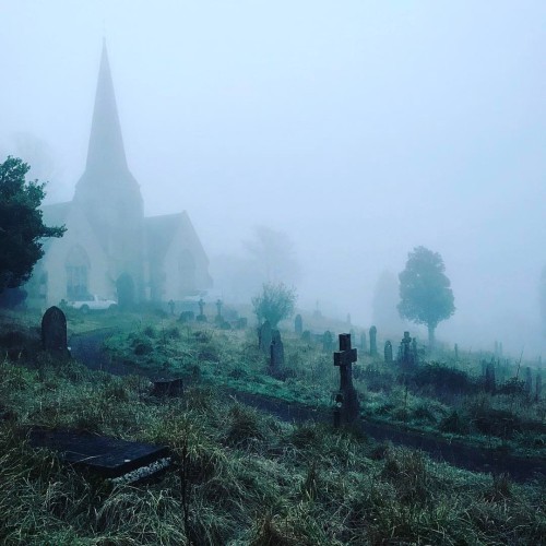 moonglowlily: jamesjnicholls: Creepy morning fog on my street (at Stroud, Gloucestershire)