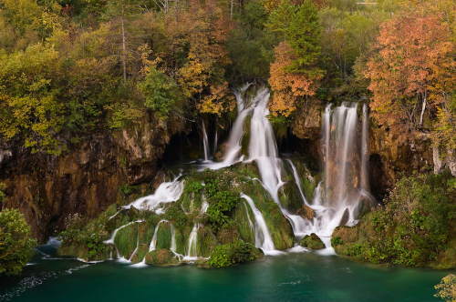 a-precis:  nubbsgalore:  the interconnected and cascading lakes and waterfalls of croatia’s plitvice national park. photos by (click pic) maurizio biancarelli, lee duguid, dominik kirner, sinisa klekovic and andrea pozzi  GUYS, IVE BEEN HERE