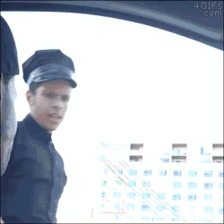 4gifs:  Cops be like… [video]