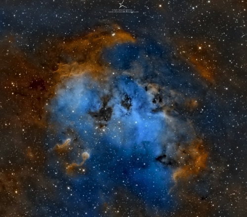 The Tadpoles of IC 410 by Juan Ignacio Jimenez