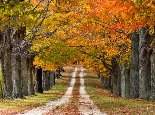 Right turn off of Sweetman’s Lane by joiseyshowaa on Flickr.