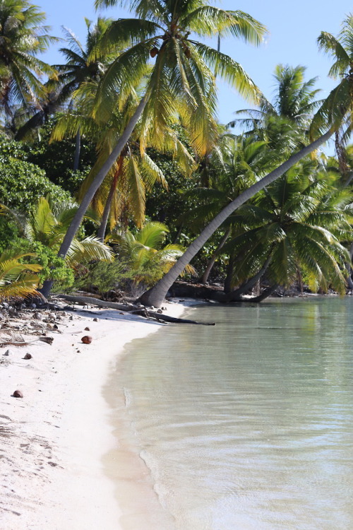 808vibesss:French Polynesia