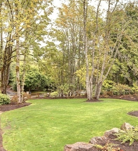 Contemporary Landscape