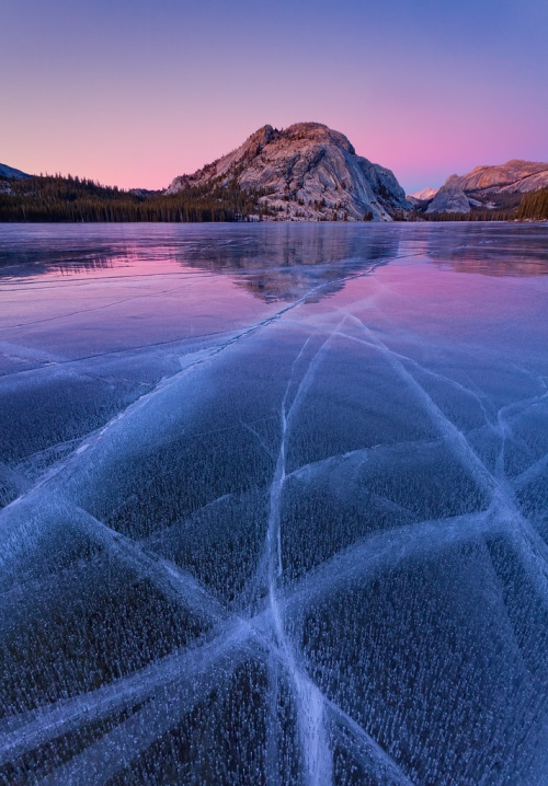 wowtastic-nature:  💙 Ice and glow by Javier porn pictures