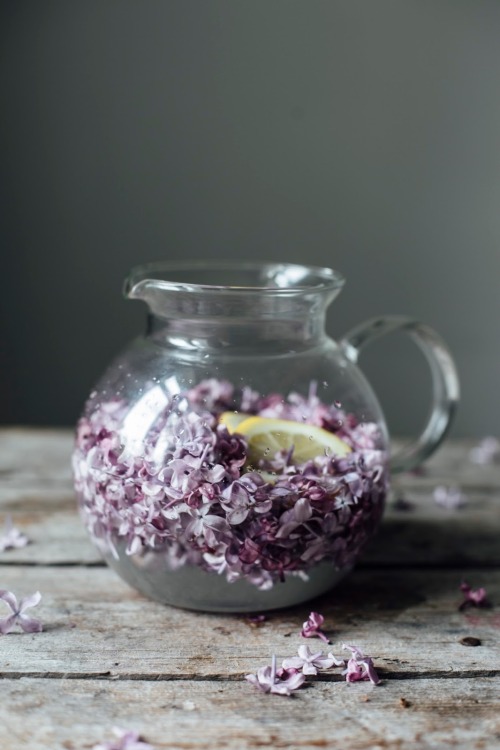 delta-breezes:Lilac Syrup | Our Food Stories