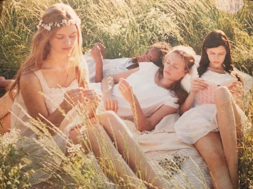 The Summer's Wild
