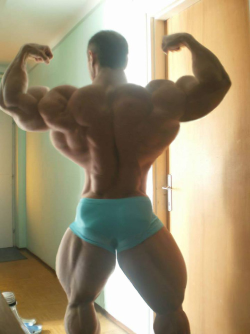 massivemusclebears:  He wants me to worship him and completely submit to his every whim. I must obey him. I WILL obey him.  He is my Alpha. He is my life.