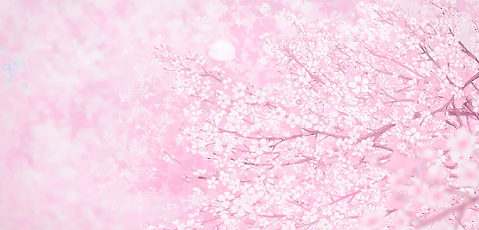tree blossom gif | Tumblr